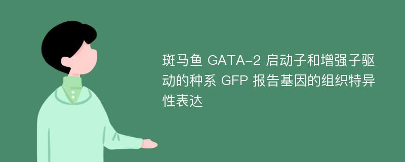 斑马鱼 GATA-2 启动子和增强子驱动的种系 GFP 报告基因的组织特异性表达