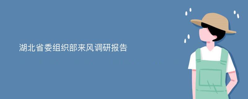 湖北省委组织部来风调研报告